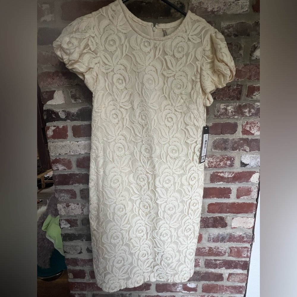 NWT Badgley Mischka Ivory Floral Lace Dress